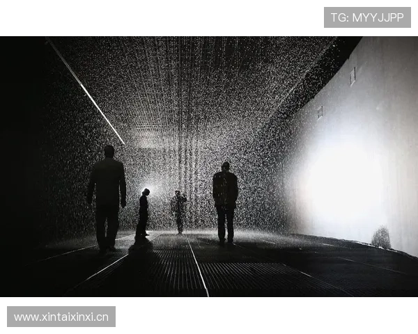 巴尔科拉终结效率具体体现在哪些方面，存在哪些改进空间？