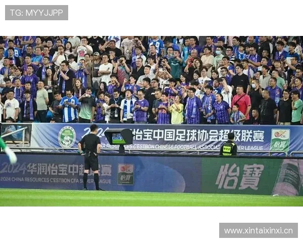 登贝莱法甲冠军荣誉的联赛延续性分析