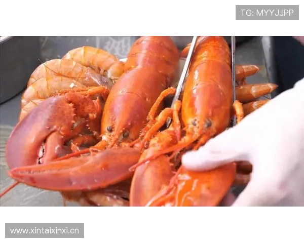 胡金秋家里的那个地下酒窖也太豪横了，谁想到篮球好手私生活这么奢侈