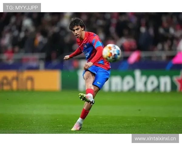 菲利克斯体系适配性与实力受限分析